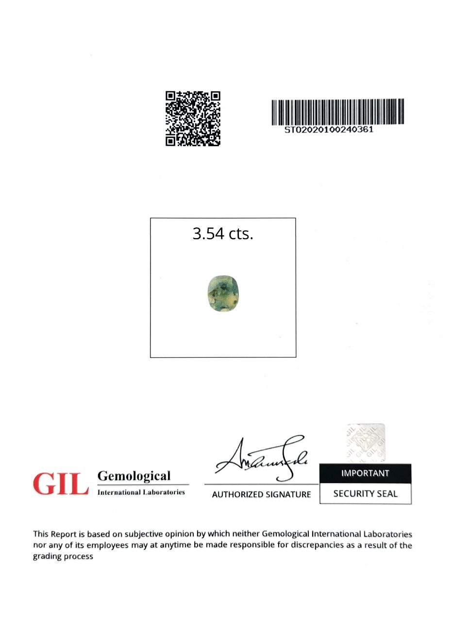 13918.2048.jpg